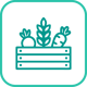 icons agro packking-02